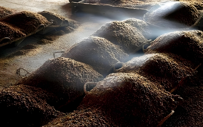 Wine Fermentation